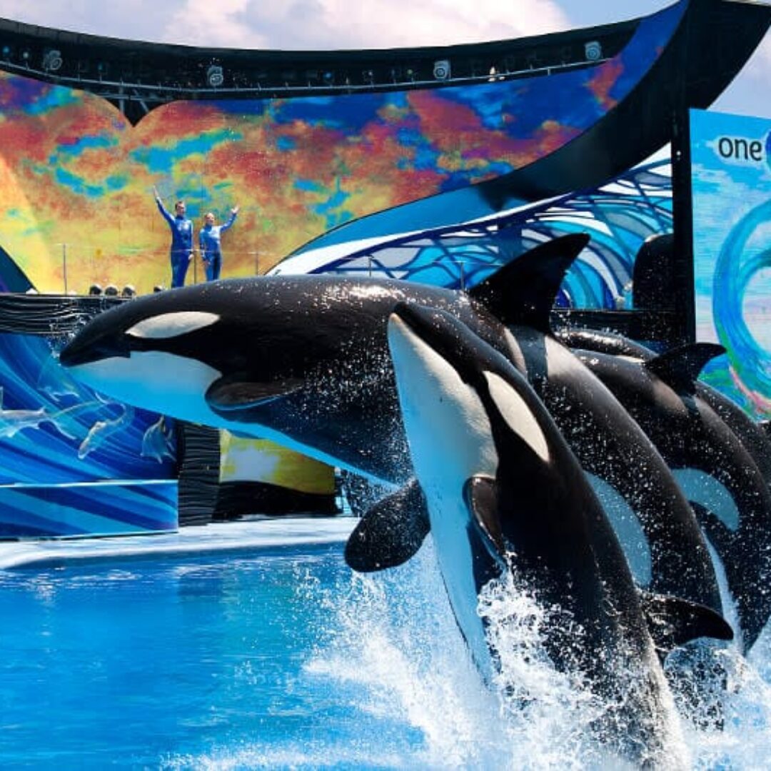 sea World